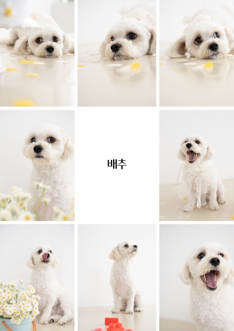 스튜디오해픈 이미지