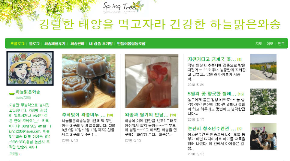 하늘맑은와송 이미지