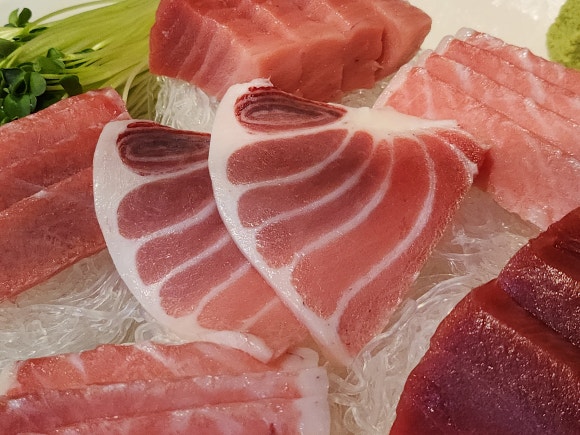본참치 이미지