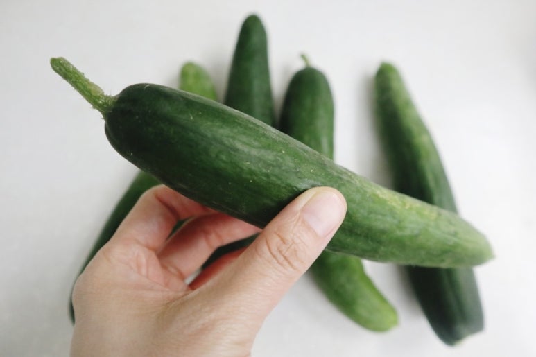 농부의키친 이미지