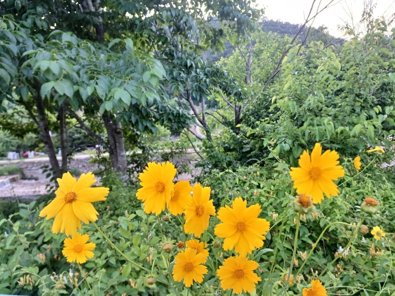 배트맨PC산격동 이미지