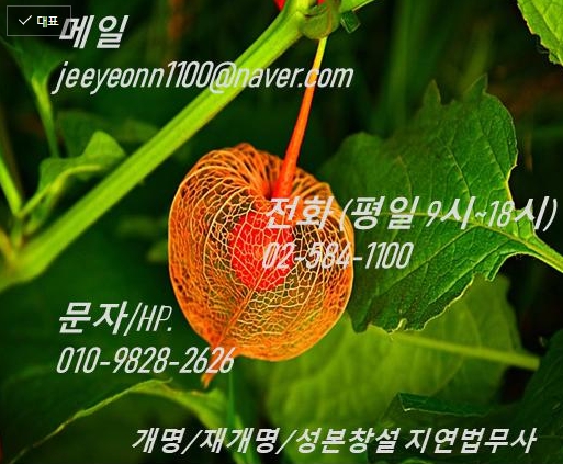 법무사사무소창 이미지