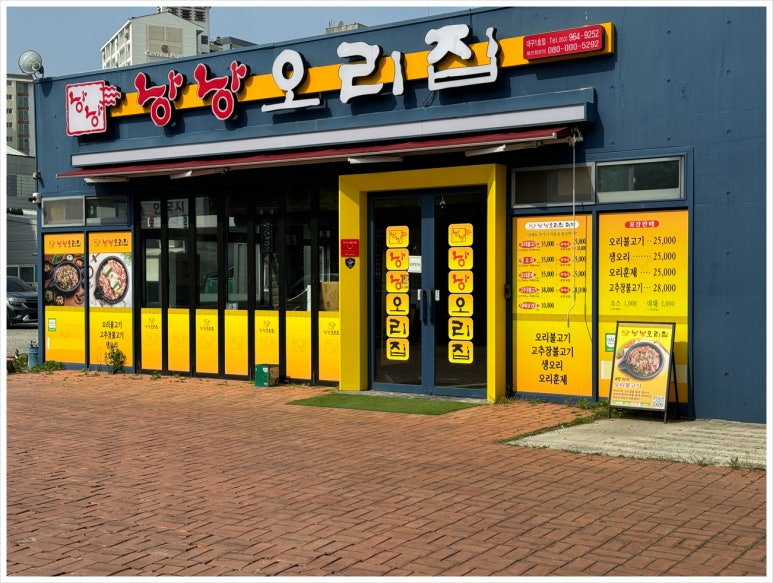 싱싱오리 이미지