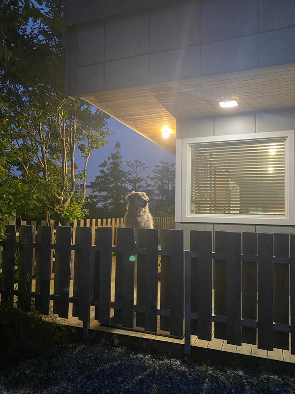 댕큐양양 이미지