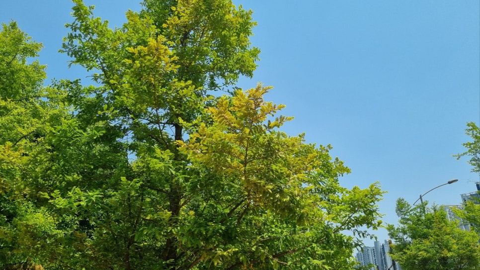 지산아이앤씨주 이미지