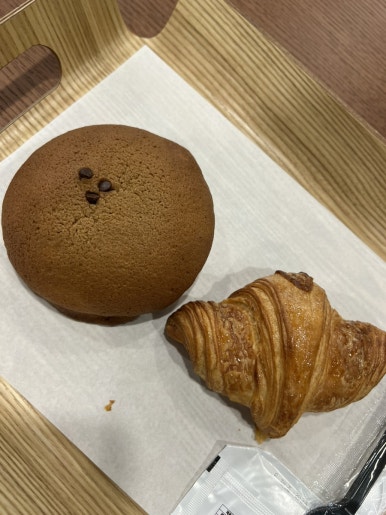카페인중독숙대 이미지