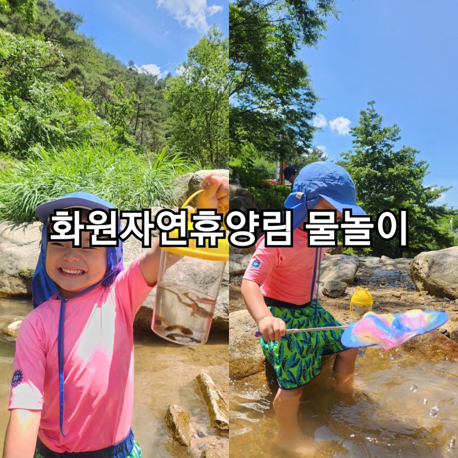 개구리화원 이미지