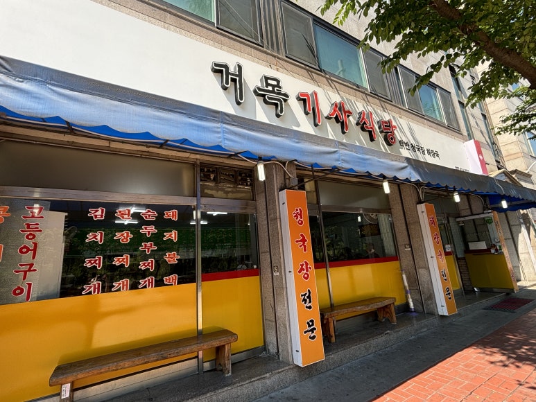 거목투어 이미지