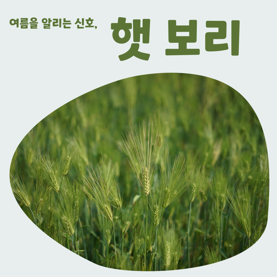 우일유통 이미지