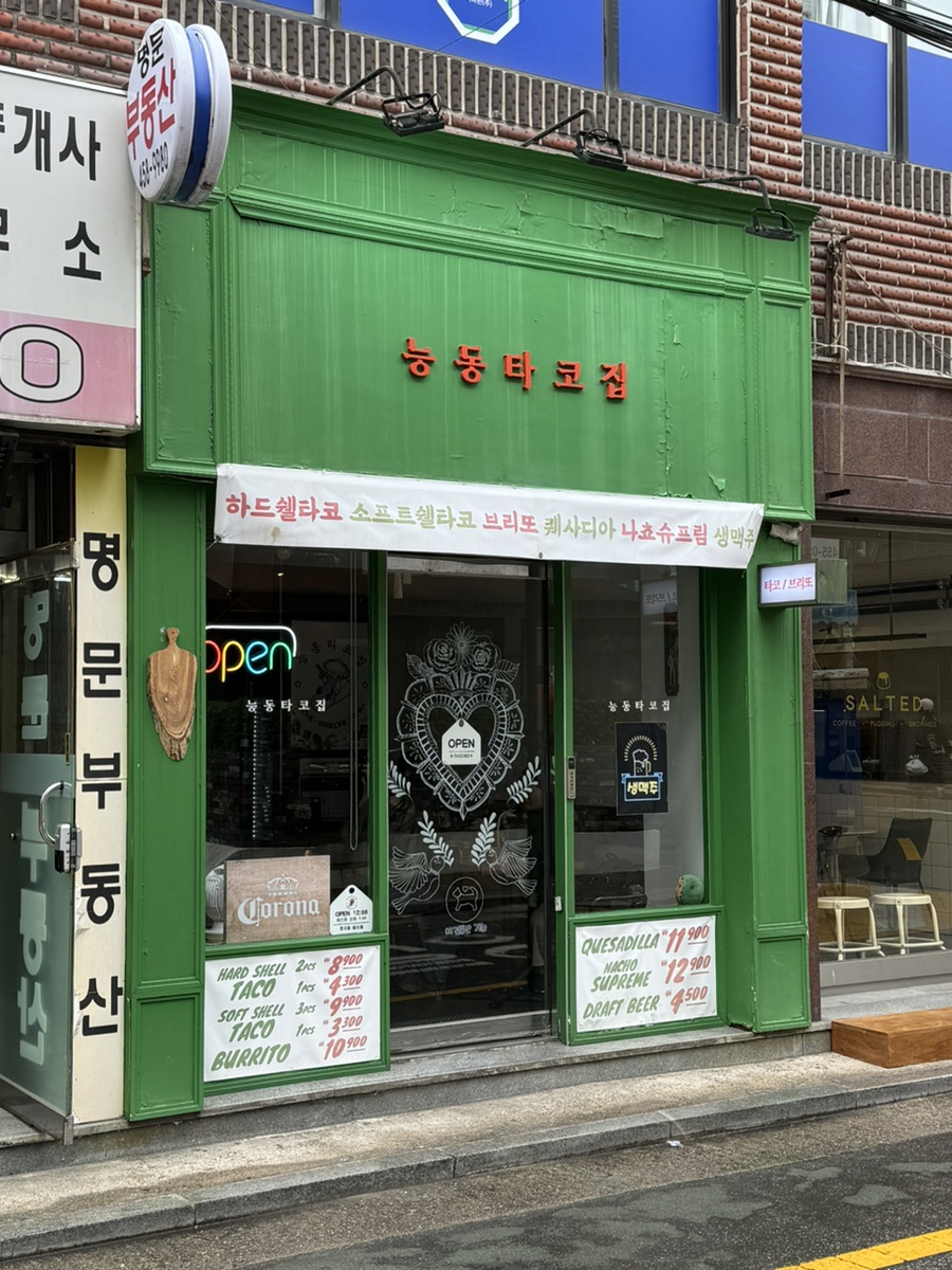 능동타코집 이미지