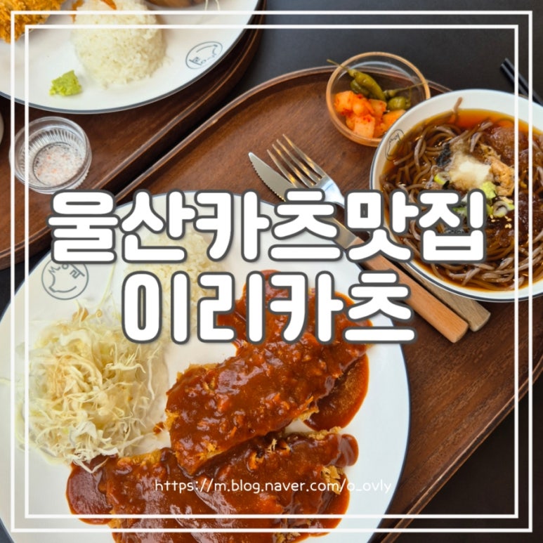 이리카츠 이미지