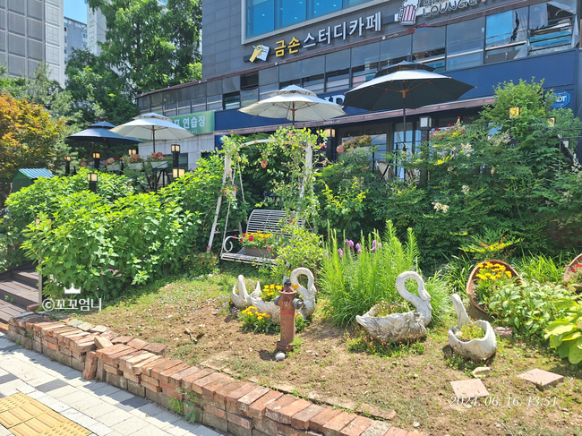 금손스터디카페 이미지