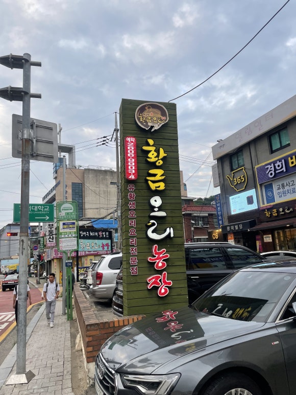 황금인력개발 이미지