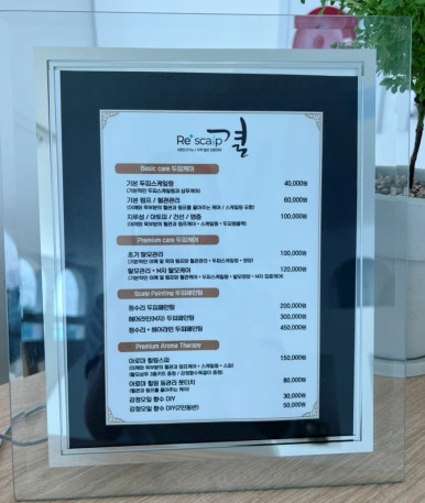 리스칼프 이미지