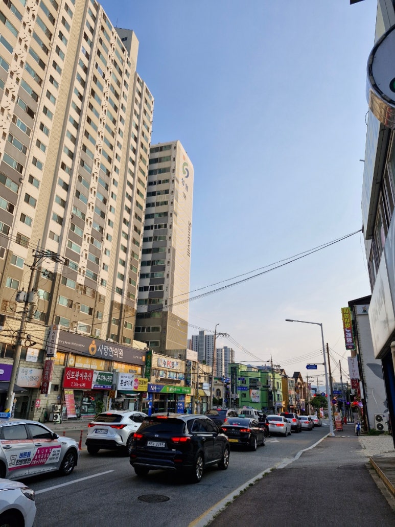 모닝스타트기획 이미지