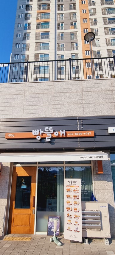 빵뜰애 이미지