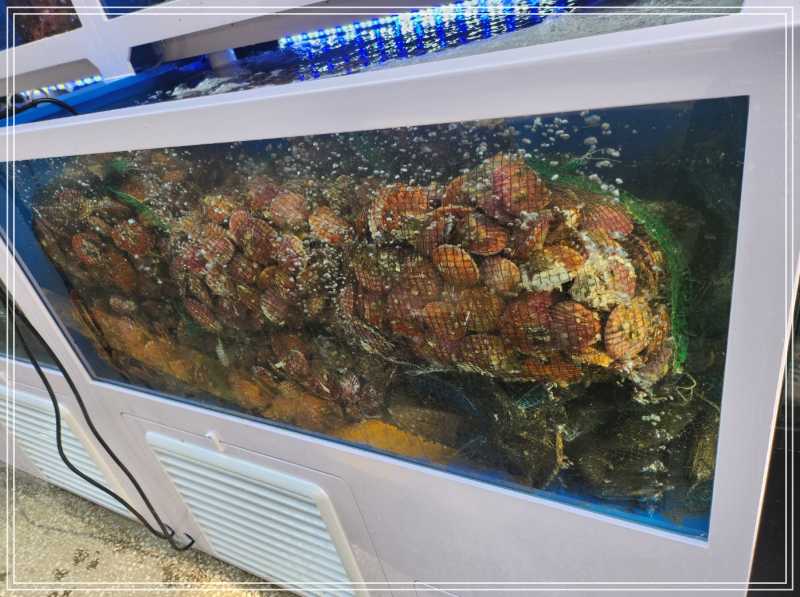 갯벌의조개 부천상동역점 이미지