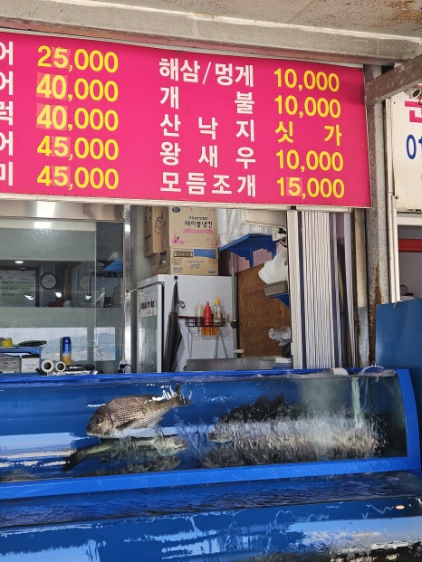 여진호 이미지