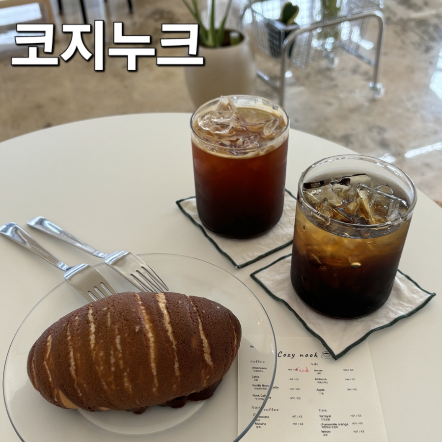 코지누크 이미지