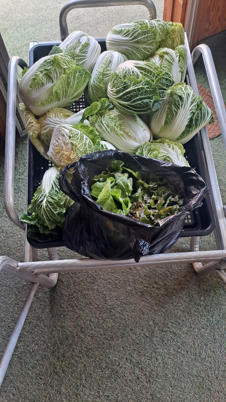 영의상실 이미지