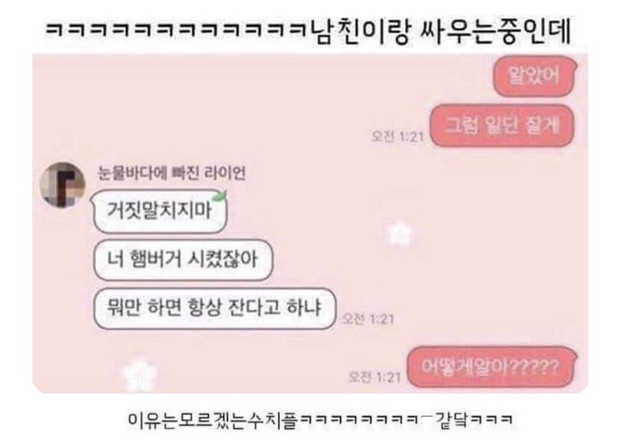 메종드슈슈 이미지