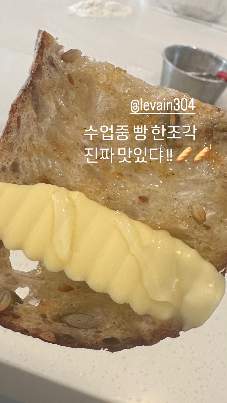 르뱅304 이미지