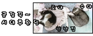 갓터치 이미지