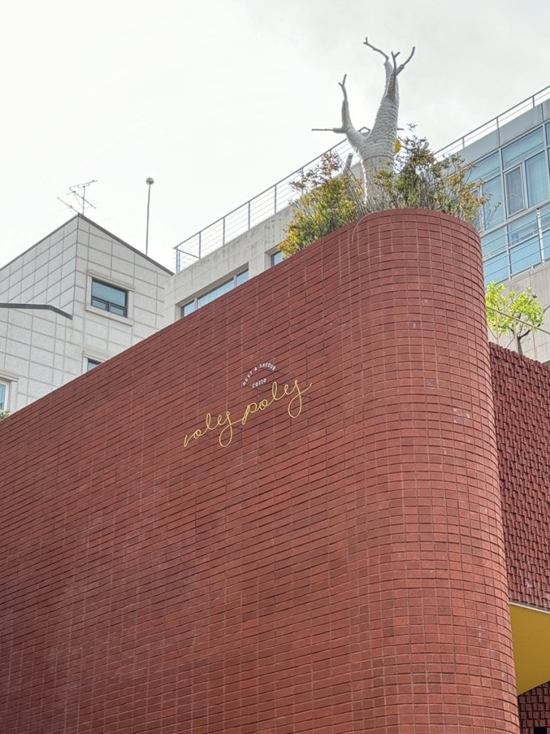 롤리폴리 르밀 이미지