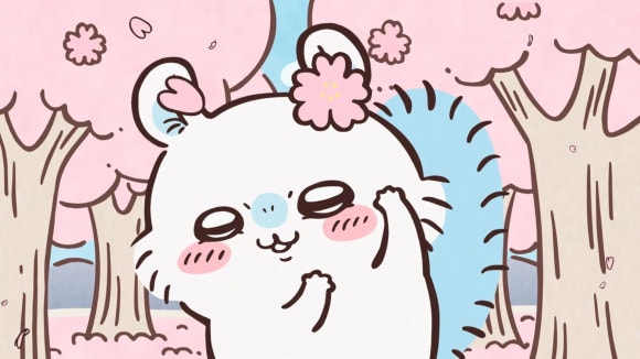 모몽가 이미지