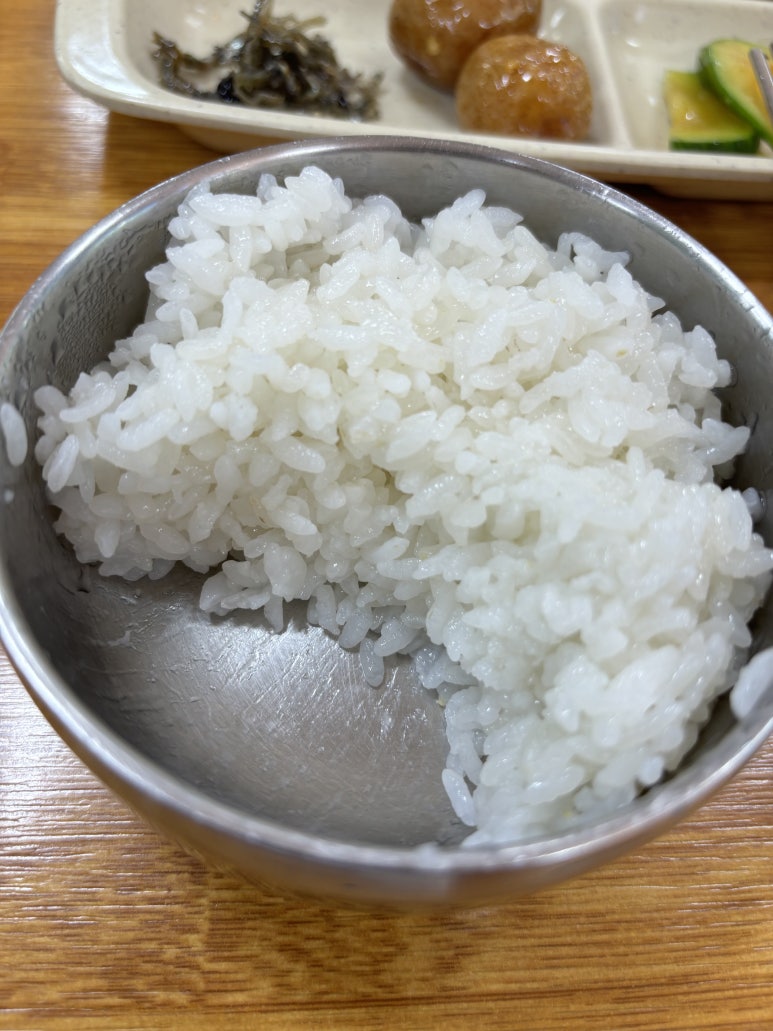 거목투어 이미지