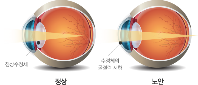 서울닥터윤치과 이미지