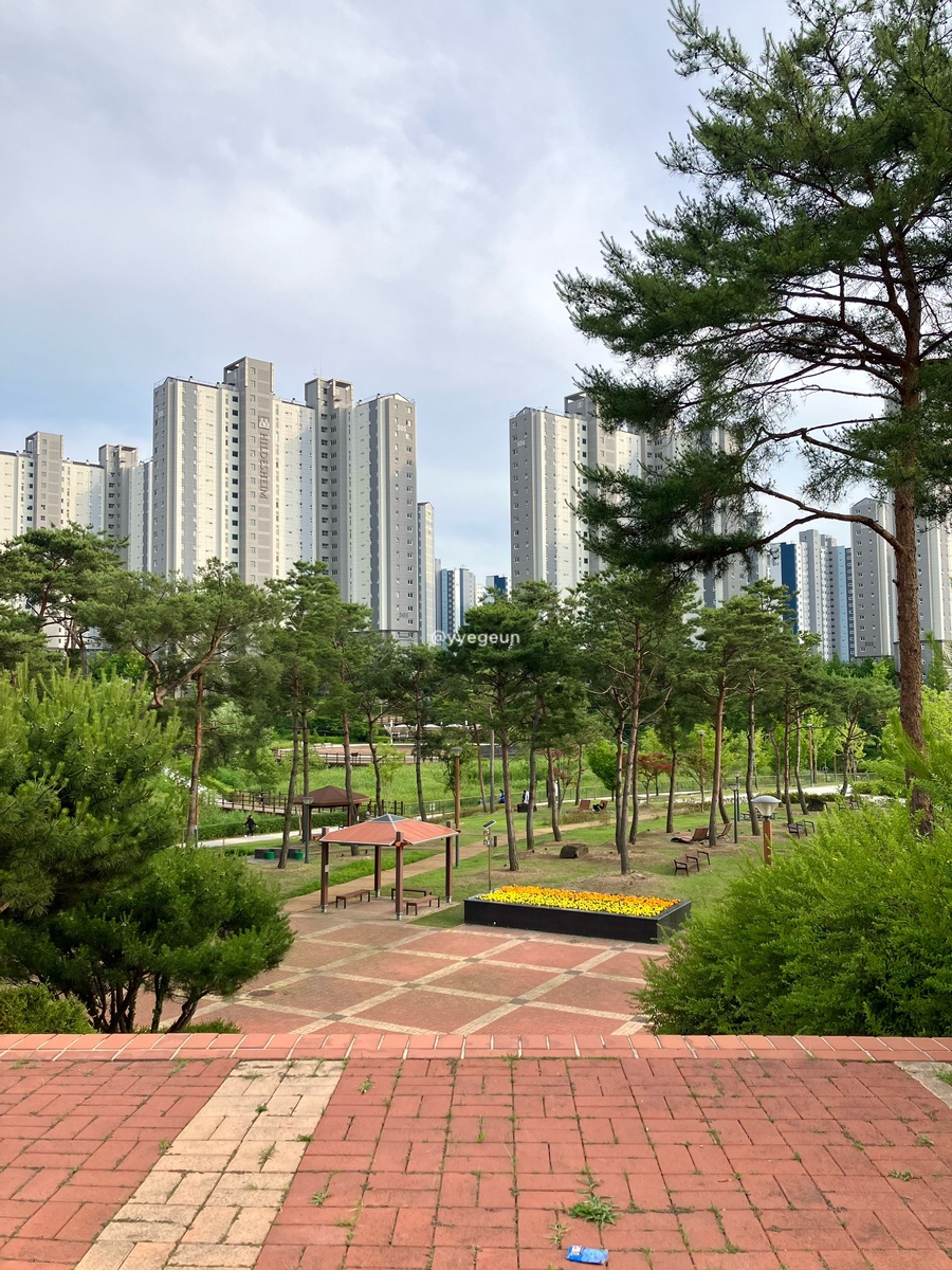 슬로우캘리원주 이미지