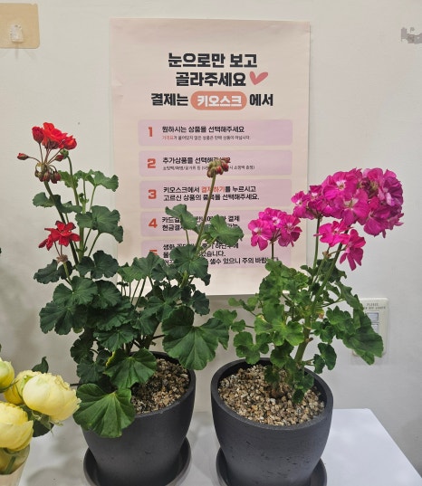 플라워24시 이미지