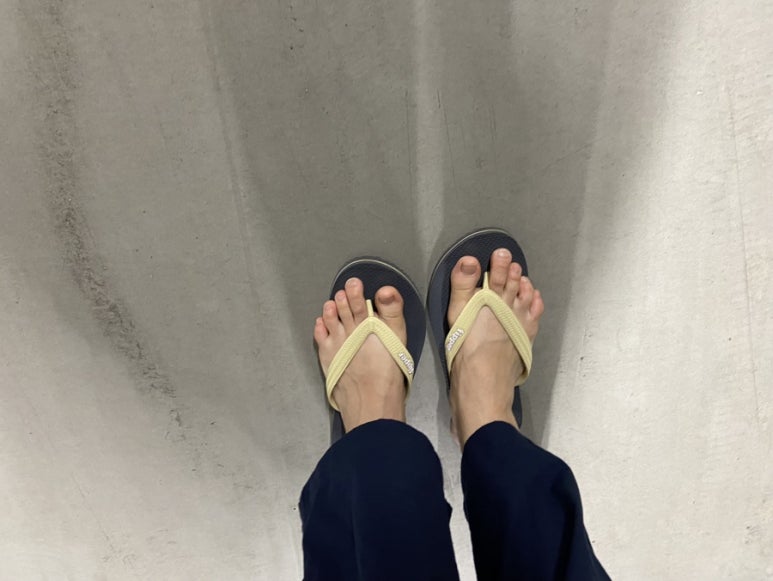 술푸마 이미지