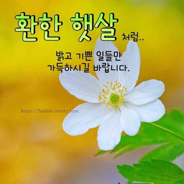 행복실버케어 이미지