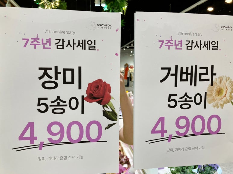 스노우폭스제주 이미지