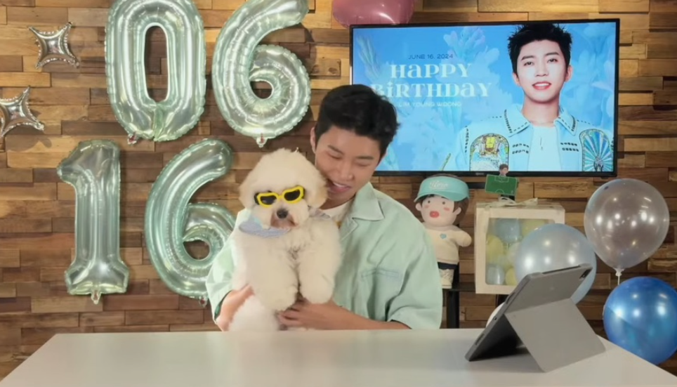 툴레아르Tulear 이미지