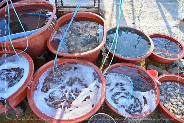 신선횟집 이미지