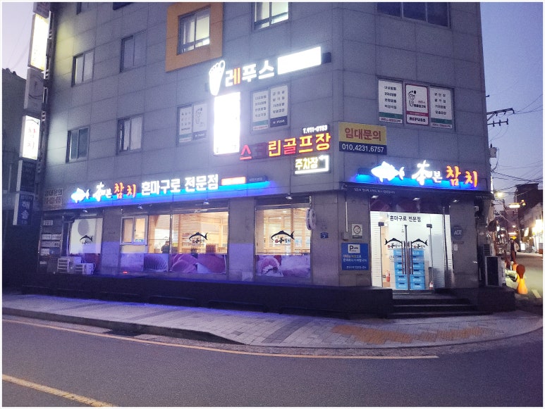 참치형부 이미지