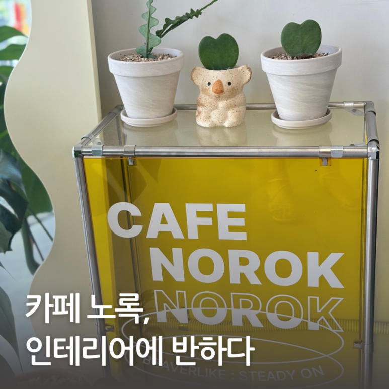 노록 이미지
