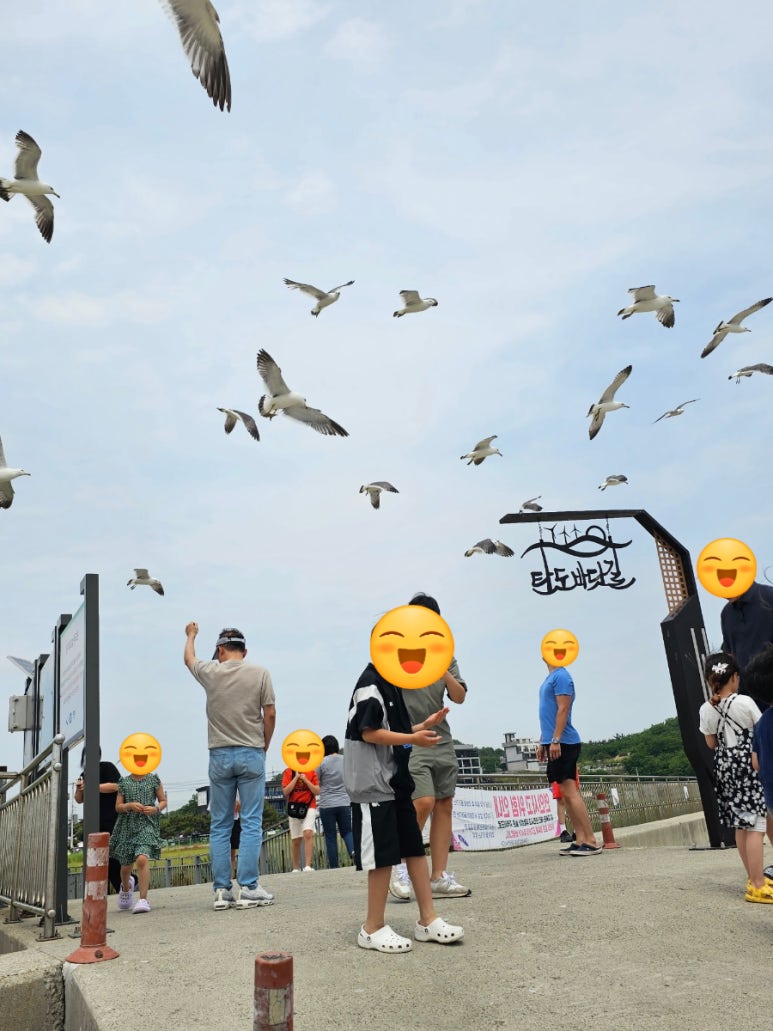 하이얀펜션 이미지