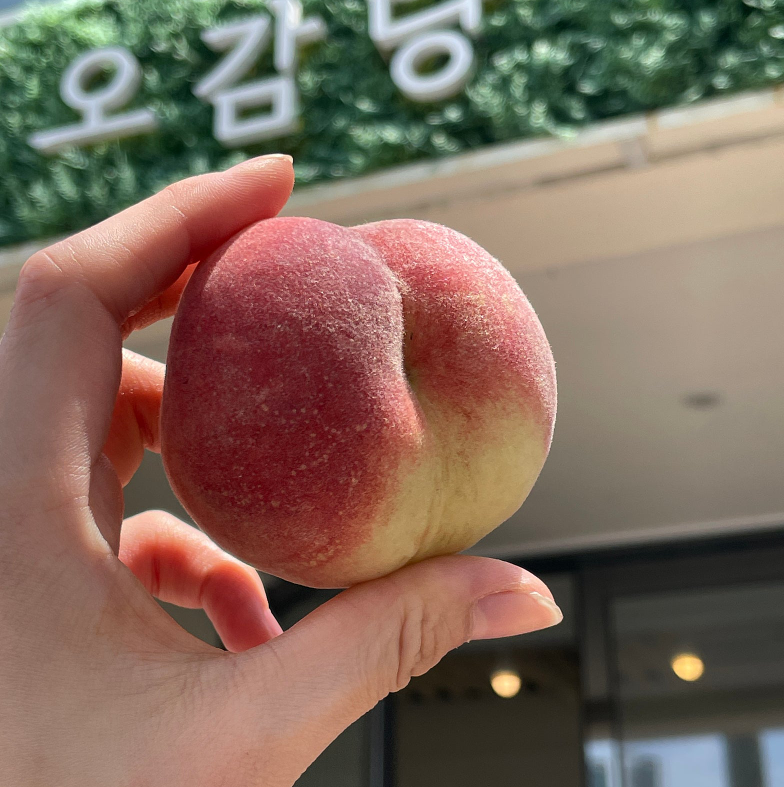 카페오감당 이미지