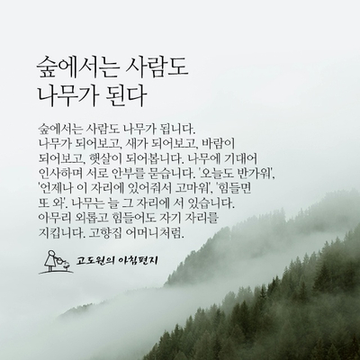 사람나무 이미지