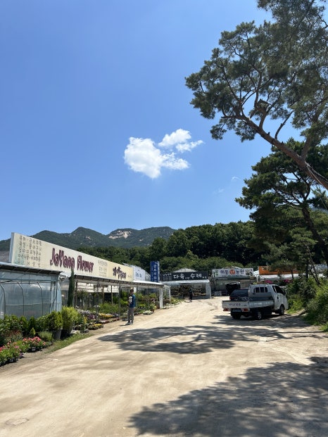 자양꽃직매장 이미지