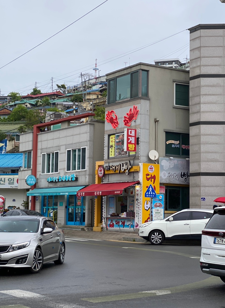 키토리아 이미지