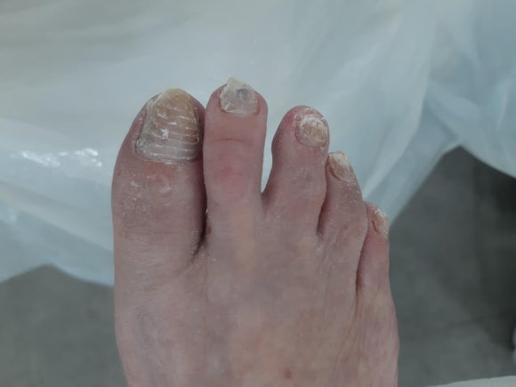 레푸스앤두두뷰티 이미지