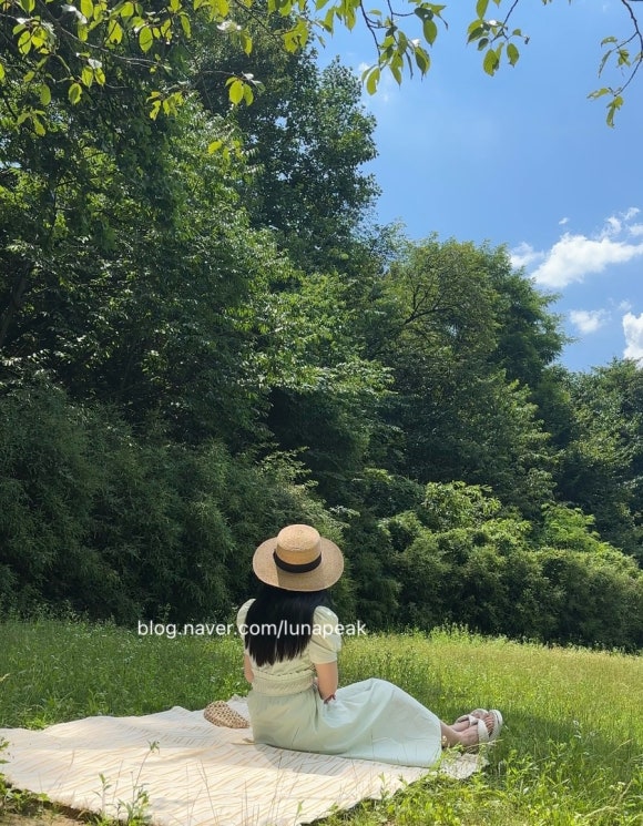 루나피크 이미지