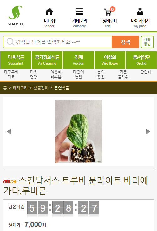 묘한정원 이미지