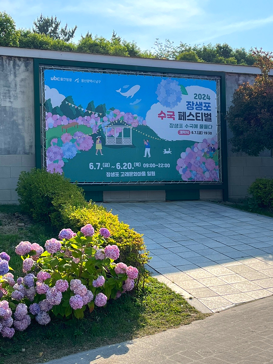 하이고래협동조합 이미지