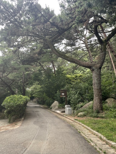 금강카 이미지